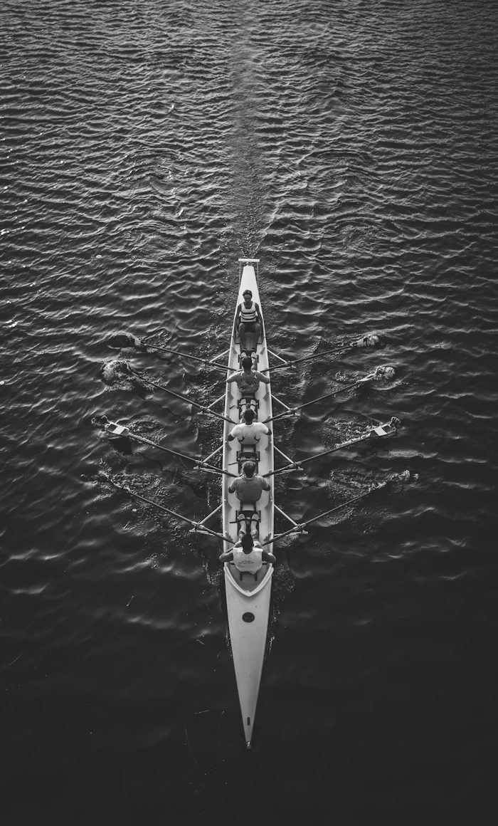 Team rowing together symbolising coordinated effort and strategy in growing a business online