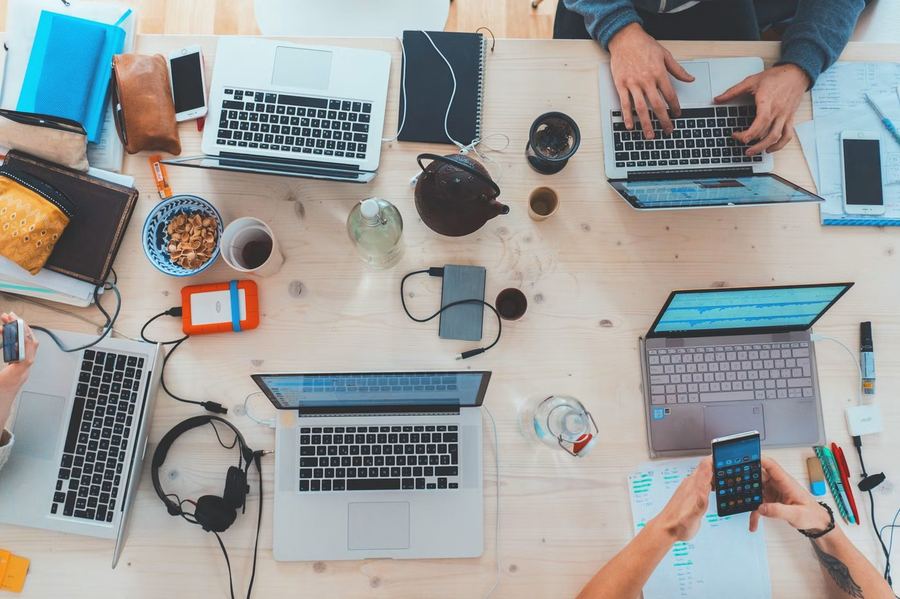 Digital team working on laptops collaborating on local SEO strategy for small businesses